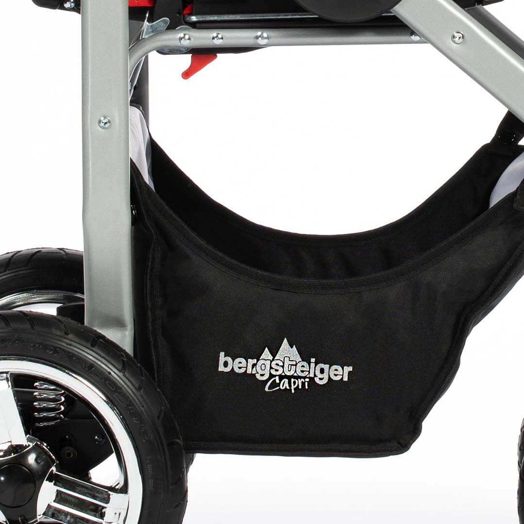 Startseite - Bergsteiger Kinderwagen